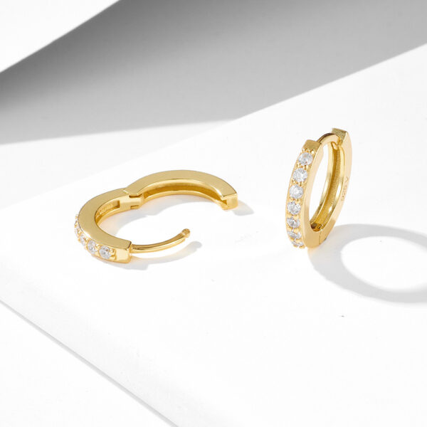 S925 Sterling Silver Diamond Single Row Zircon Earrings - Image 4