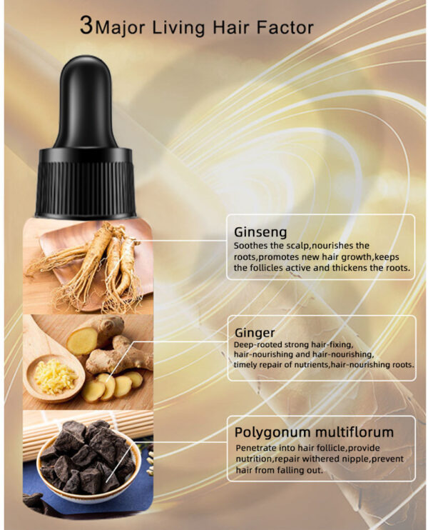 Hair Growth Oil Hair Growth Oil Oem Hair Care Essential Oil - Image 5