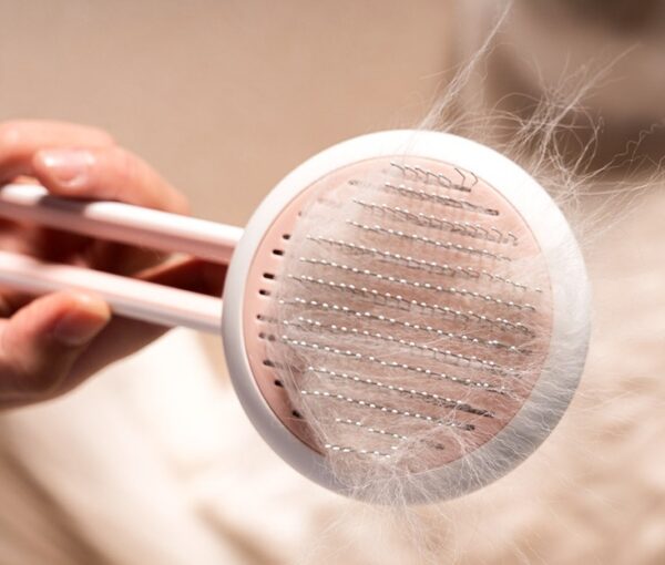 Pet Dog Hair Remover Cat Brush Grooming Tool Automatic Massage Comb Round Hair Brush For Cat Dog Pet Supplies - Image 4