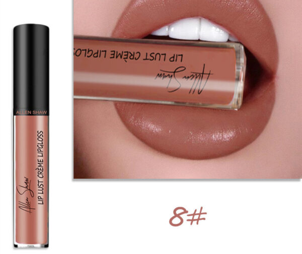 Silky Cream Texture Lip Gloss Aliexpress Shopee Cross-Border Exclusive Lip Glaze Lip Gloss Lipstick - Image 9