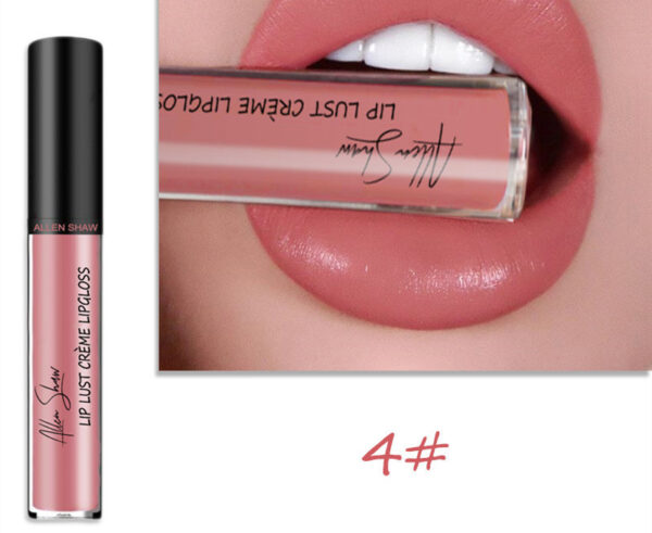 Silky Cream Texture Lip Gloss Aliexpress Shopee Cross-Border Exclusive Lip Glaze Lip Gloss Lipstick - Image 5