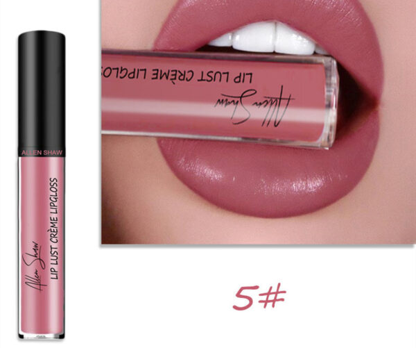 Silky Cream Texture Lip Gloss Aliexpress Shopee Cross-Border Exclusive Lip Glaze Lip Gloss Lipstick - Image 6