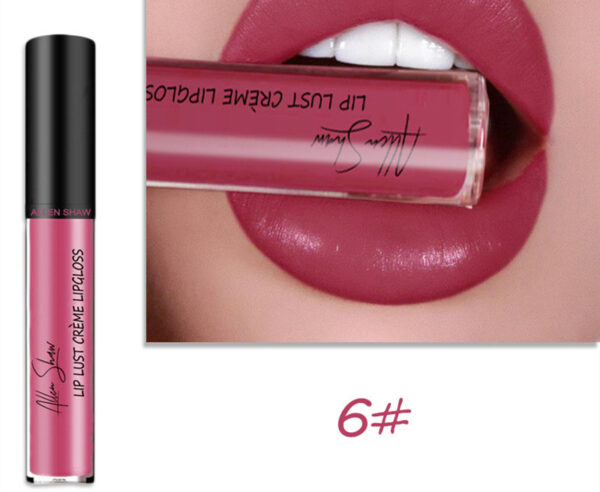 Silky Cream Texture Lip Gloss Aliexpress Shopee Cross-Border Exclusive Lip Glaze Lip Gloss Lipstick - Image 7