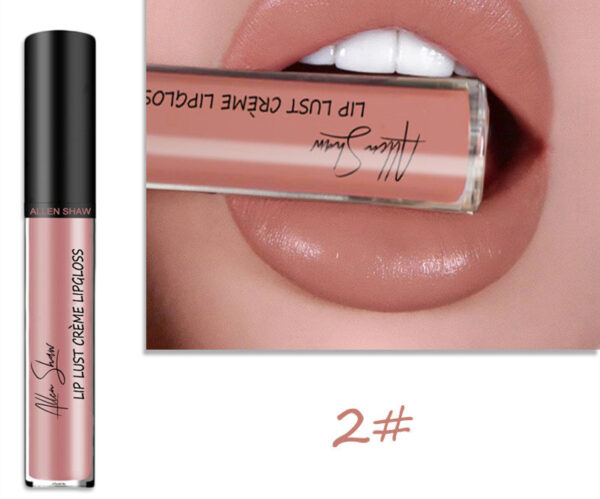 Silky Cream Texture Lip Gloss Aliexpress Shopee Cross-Border Exclusive Lip Glaze Lip Gloss Lipstick - Image 3