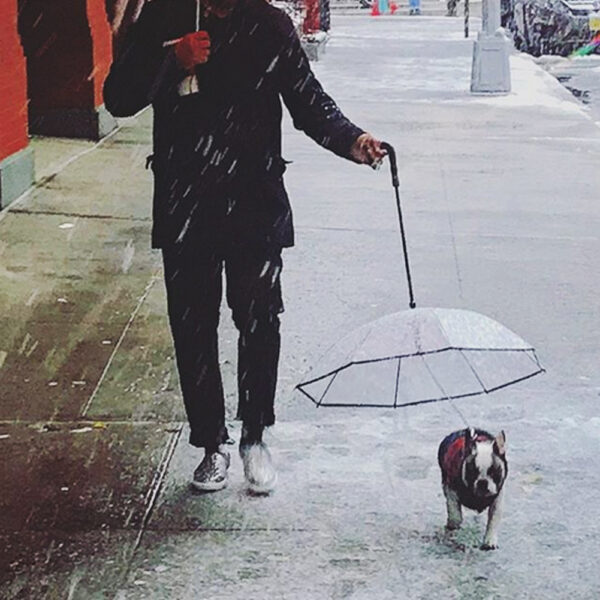 Dog's Transparent Umbrella With Traction Chain Removable Umbrella Pet Products - Image 6