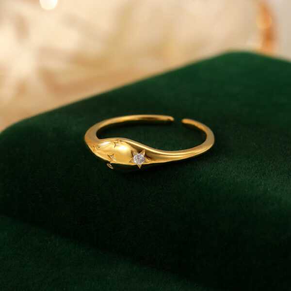 S925 Silver Simple Ring Female Special-interest Design French Oval XINGX Forefinger Ring - Image 7