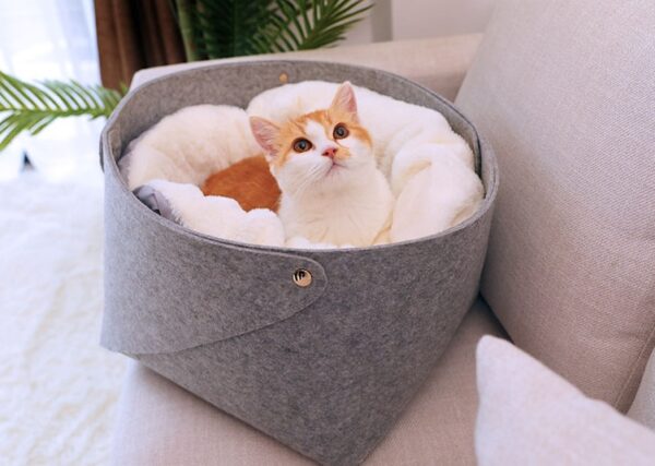 pet bed - Image 6