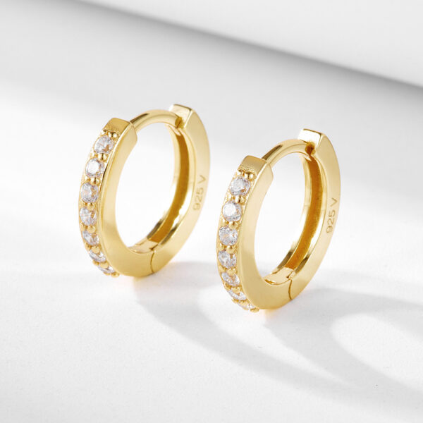 S925 Sterling Silver Diamond Single Row Zircon Earrings - Image 2