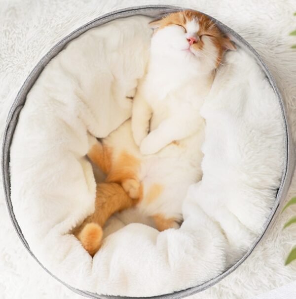pet bed - Image 5