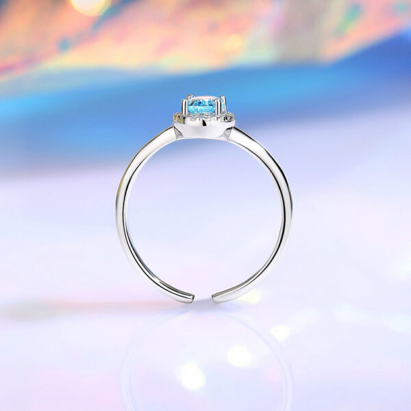 S925 Sterling Silver Ring Female Niche Advanced - Image 3