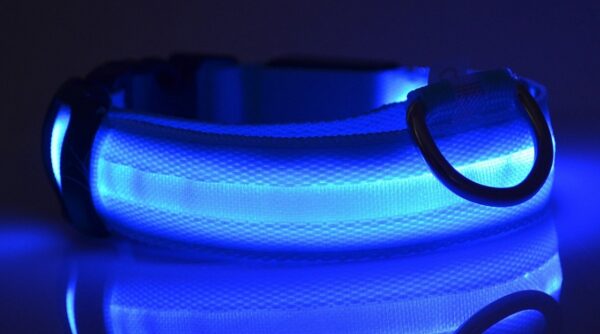 Nylon LED Pet Dog Luminous Collar Night Safety Flashing Glow in Dark Dog Cat Leash Adjustable Pet Supplies - Image 8