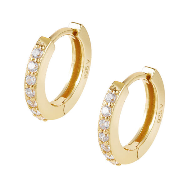 S925 Sterling Silver Diamond Single Row Zircon Earrings - Image 5