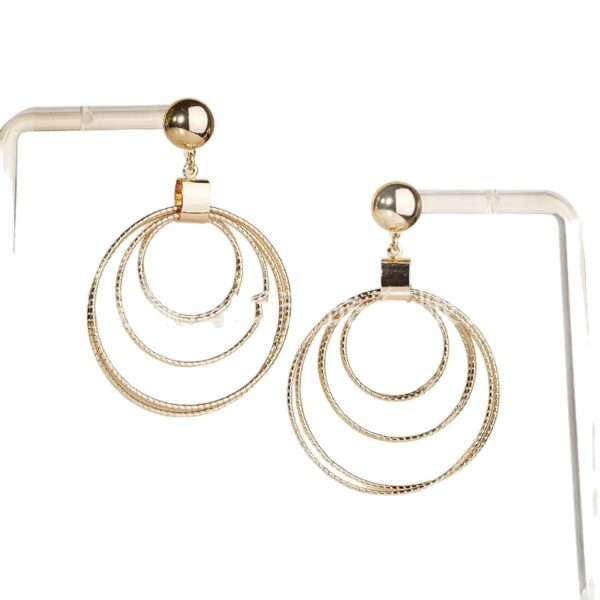Fashion Simple Geometric Shape Multiple Hollow Concentric Circle Design Special Interest Earrings - Image 4