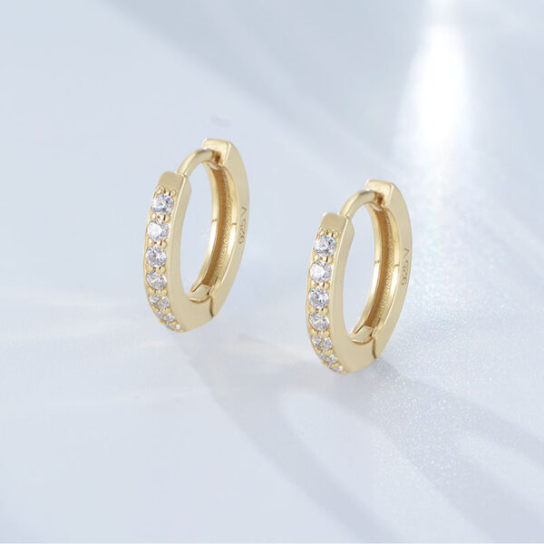 S925 Sterling Silver Diamond Single Row Zircon Earrings - Image 6