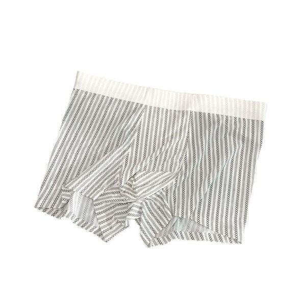 Fiberglass Antibacterial Crotch High-end Leopard Print Men's Underwear Boyshorts - Image 4