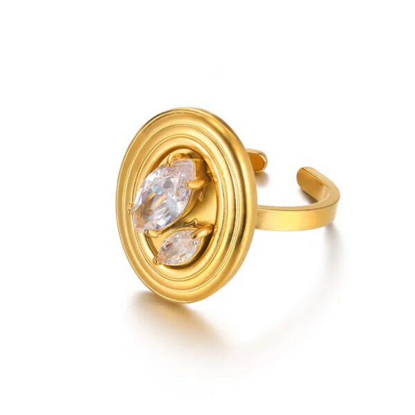 Light Luxury Exaggerated Niche Stainless Steel Ring - Image 5