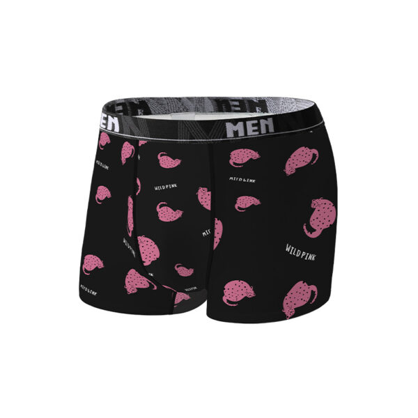 Plus Size Men's Underpants Boxers Mid Waist - Image 7