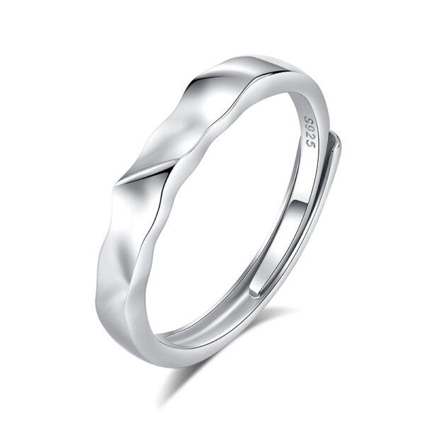 S925 Silver Love Endless Flow Couple Zircon Ring - Image 5