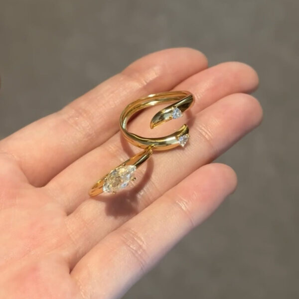 Unique Personality Dual-wear Wide Version Horse Eye Rhinestone Ring Female - Image 2