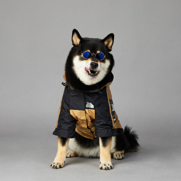 Dog Large Dog Raincoat Pet Jacket - Image 2