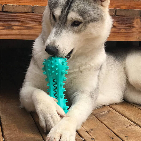 Pet Dog Cleaning Chew Toys For Aggressive Dogs Rubber Molar Stick Dog Oral Teeth - Image 3