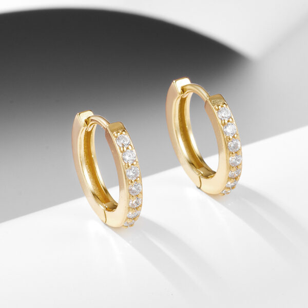 S925 Sterling Silver Diamond Single Row Zircon Earrings - Image 3