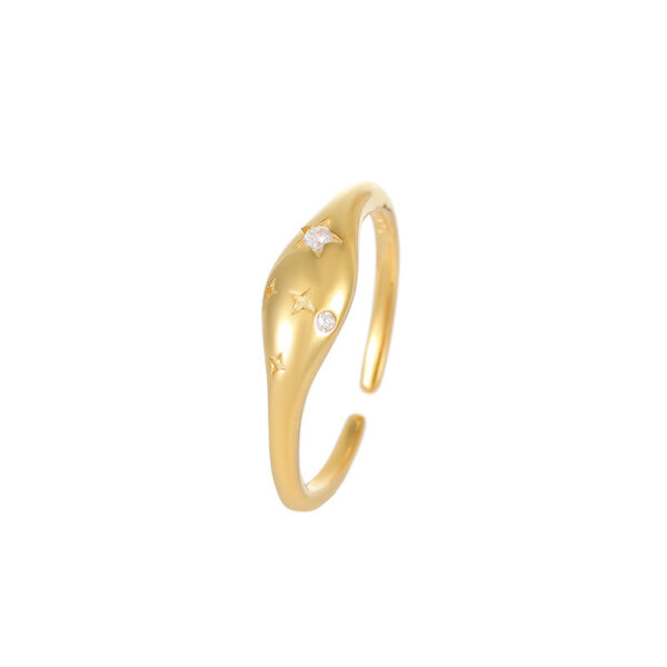 S925 Silver Simple Ring Female Special-interest Design French Oval XINGX Forefinger Ring - Image 5